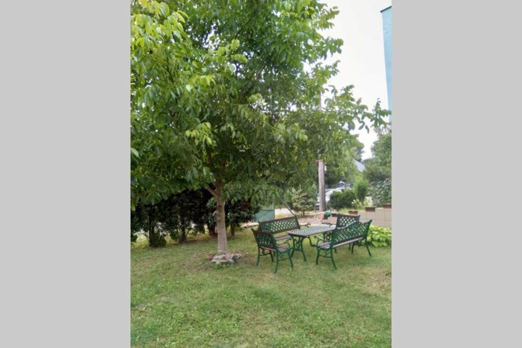 Hannah - Relax Dom Pod Orechom I4 Travnica ภายนอก รูปภาพ